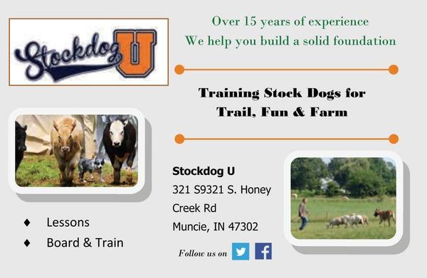 Stock-dog-u-bus-card